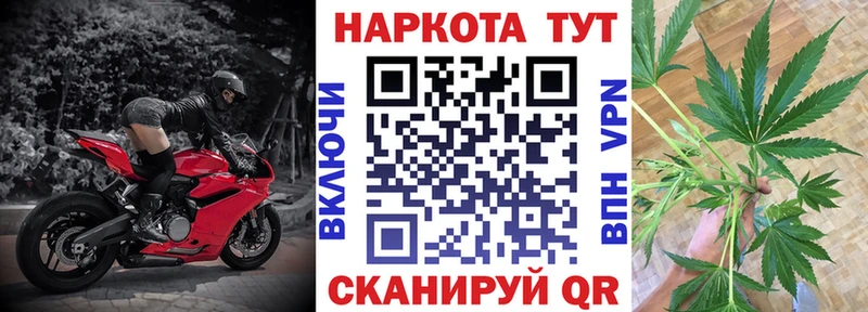 Где купить наркоту Гай Псилоцибиновые грибы  ГАШ  МАРИХУАНА  Кокаин 