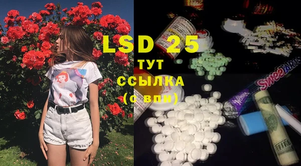 стафф Баксан