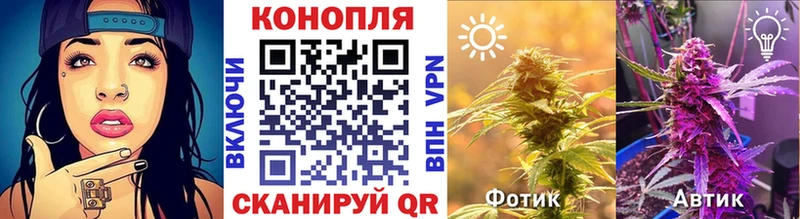 МАРИХУАНА OG Kush Гай